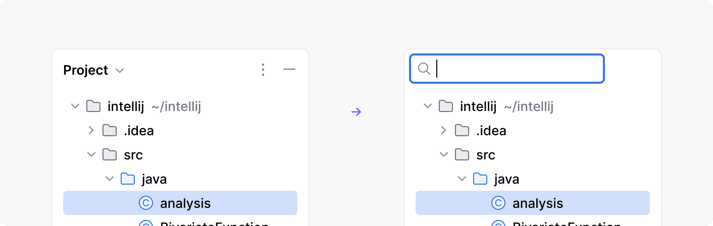 Search field project