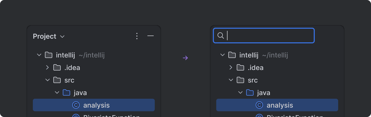 Search Field | IntelliJ Platform Plugin SDK